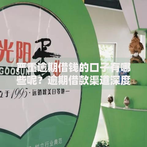严重逾期借钱的口子有哪些呢？逾期借款渠道深度解析