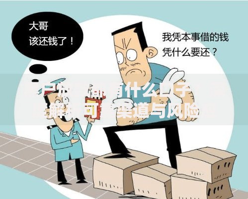 黑户放款都有什么口子？深度解析可靠渠道与风险应对