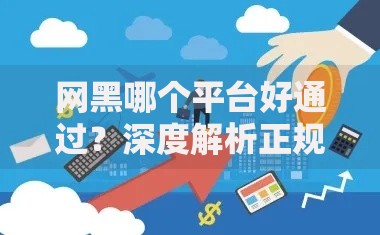 网黑哪个平台好通过？深度解析正规借款渠道选择技巧