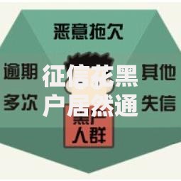 征信花黑户居然通过了怎么办？后续风险与应对策略