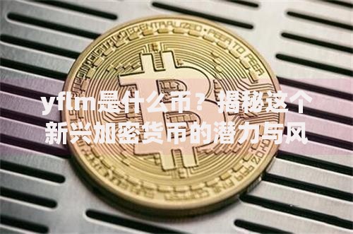 yflm是什么币？揭秘这个新兴加密货币的潜力与风险