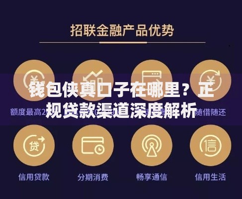 钱包侠真口子在哪里？正规贷款渠道深度解析