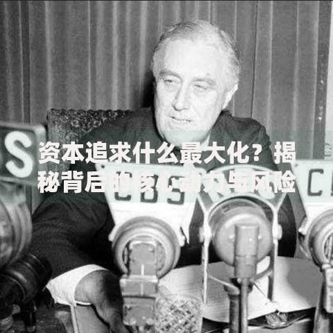 资本追求什么最大化？揭秘背后的核心动力与风险平衡