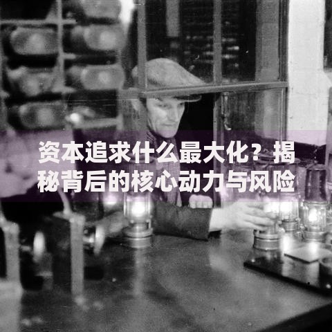 资本追求什么最大化？揭秘背后的核心动力与风险平衡