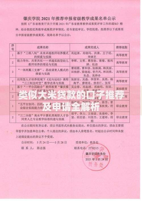 类似大米贷款的口子推荐及申请全解析
