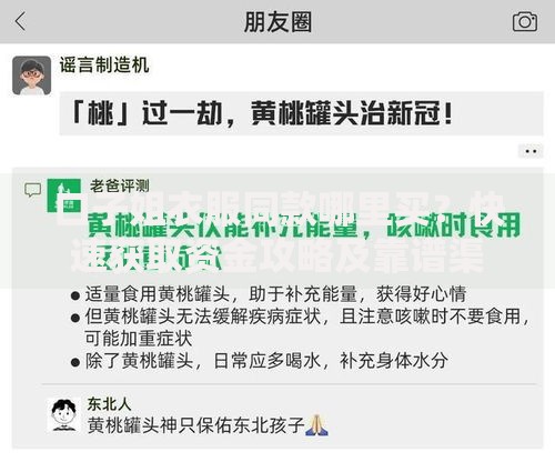 口子姐衣服同款哪里买？快速获取资金攻略及靠谱渠道解析