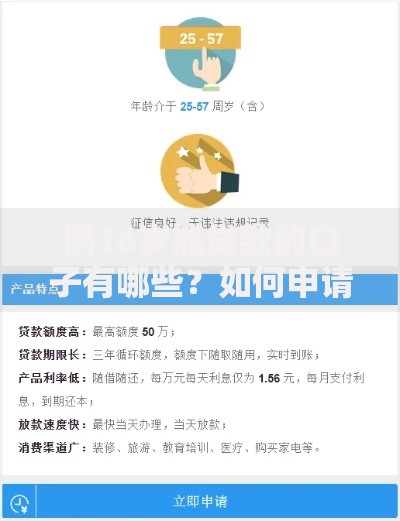 满16岁能贷款的口子有哪些？如何申请低息贷款？