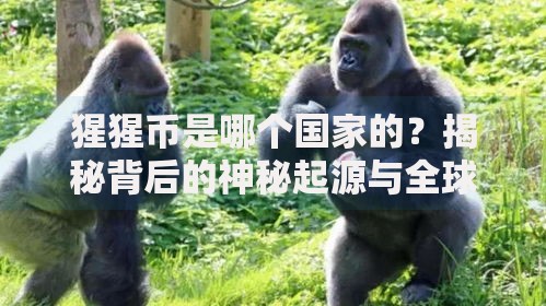 猩猩币是哪个国家的？揭秘背后的神秘起源与全球争议