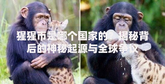 猩猩币是哪个国家的？揭秘背后的神秘起源与全球争议