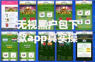 无视黑户包下款app真实操作流程深度解析