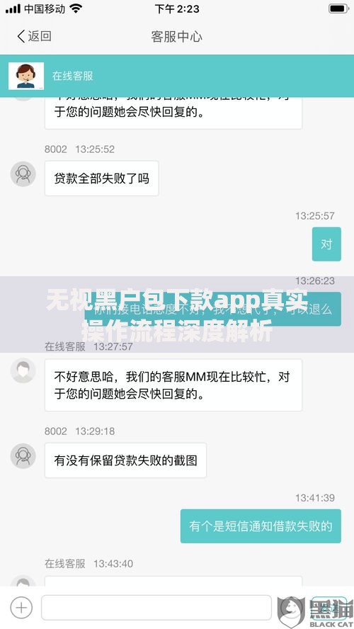 无视黑户包下款app真实操作流程深度解析