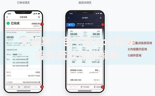 无视黑户包下款app真实操作流程深度解析