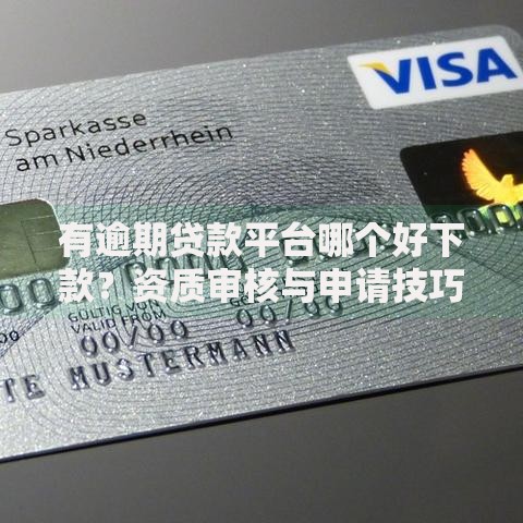 有逾期贷款平台哪个好下款？资质审核与申请技巧解析