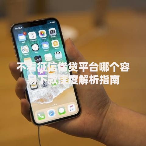 不看征信借贷平台哪个容易下款深度解析指南