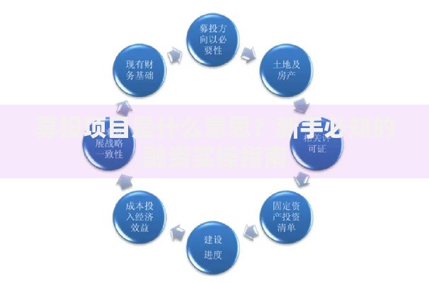 募投项目是什么意思？新手必知的融资实操指南