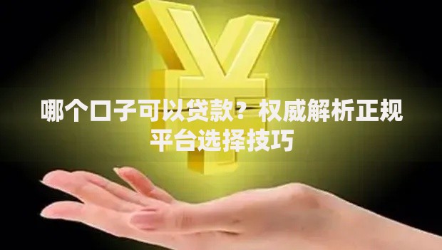 哪个口子可以贷款？权威解析正规平台选择技巧
