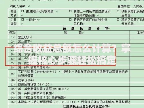 综合收益总额怎么计算？掌握核心步骤轻松搞定