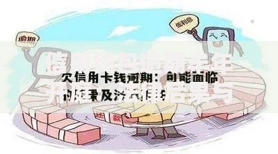 信用钱包逾期半年开庭：法律后果与应对指南