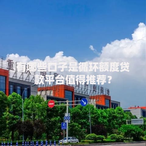 有哪些口子是循环额度贷款平台值得推荐？