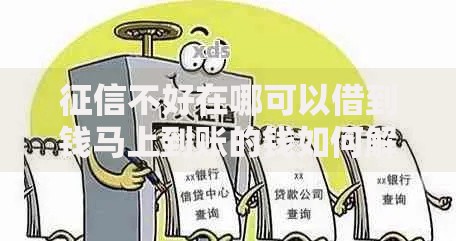 征信不好在哪可以借到钱马上到账的钱如何解决？