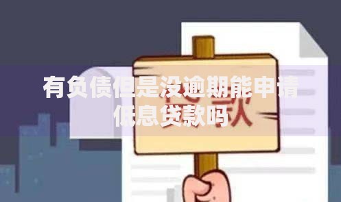 有负债但是没逾期能申请低息贷款吗