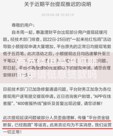 有负债但是没逾期能申请低息贷款吗