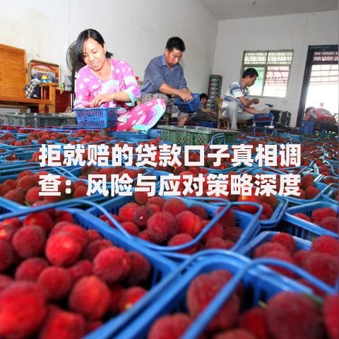 拒就赔的贷款口子真相调查：风险与应对策略深度解析