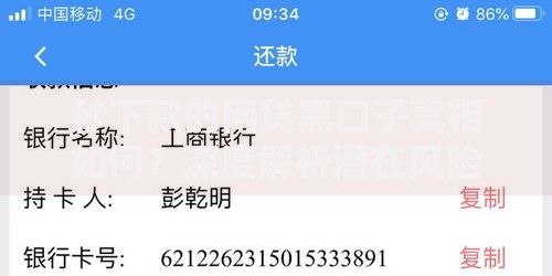 秒下款的网贷黑口子真相如何？深度解析潜在风险与应对策略