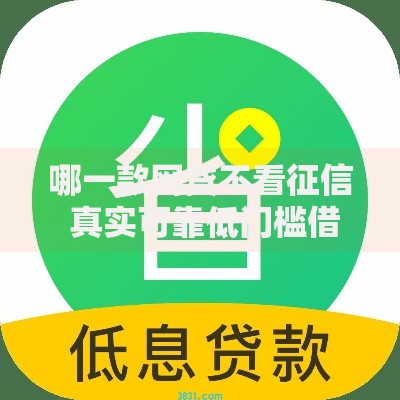 哪一款网贷不看征信 真实可靠低门槛借款平台解析
