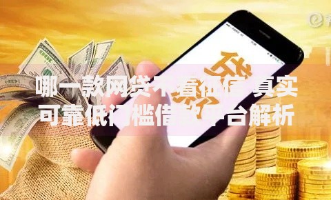 哪一款网贷不看征信 真实可靠低门槛借款平台解析