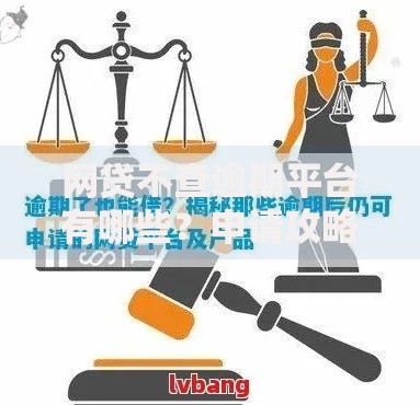 网贷不查逾期平台有哪些？申请攻略与风险解析