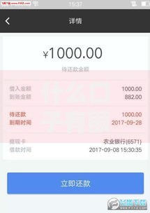 什么口子有额度能下款？正规平台解析与申请攻略