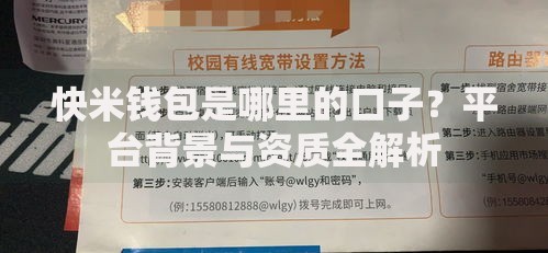 快米钱包是哪里的口子？平台背景与资质全解析