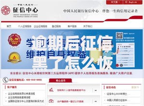 逾期后征信黑了怎么恢复？三步修复信用记录攻略