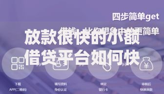 放款很快的小额借贷平台如何快速获取资金