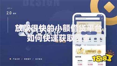 放款很快的小额借贷平台如何快速获取资金