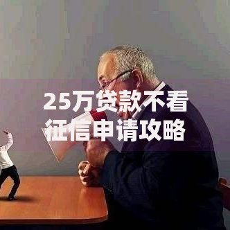 25万贷款不看征信申请攻略：资质要求与流程解析