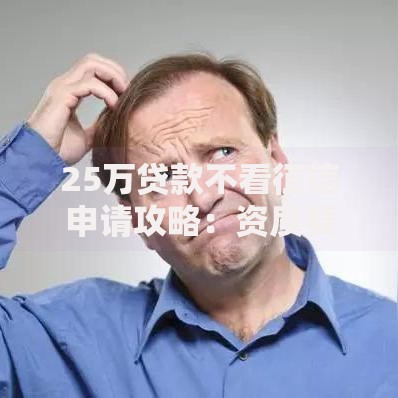 25万贷款不看征信申请攻略：资质要求与流程解析