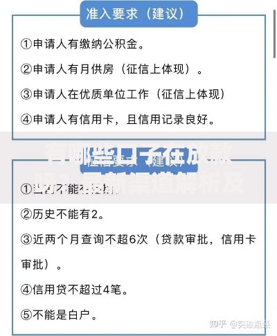 有哪些口子在放款呀？最新渠道解析及申请指南