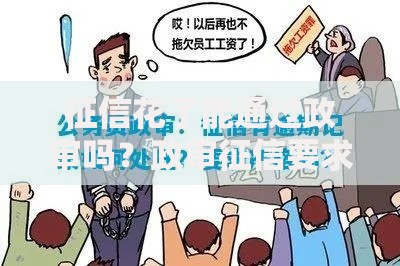 征信花了能通过政审吗？政审征信要求深度解析