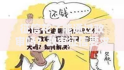 征信花了能通过政审吗？政审征信要求深度解析