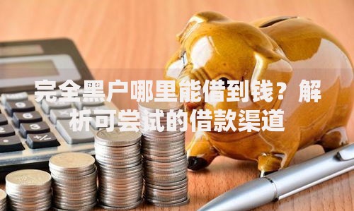 完全黑户哪里能借到钱？解析可尝试的借款渠道