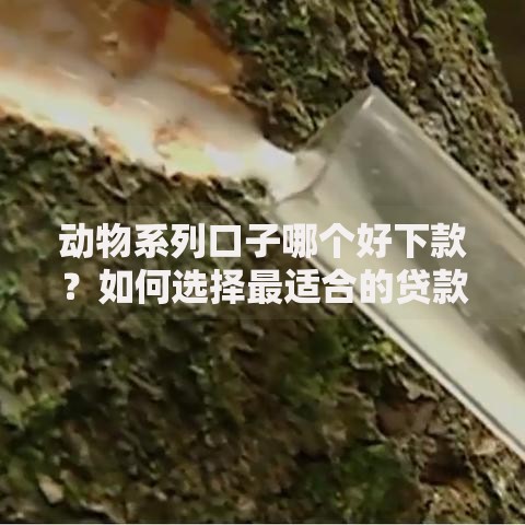 动物系列口子哪个好下款？如何选择最适合的贷款产品