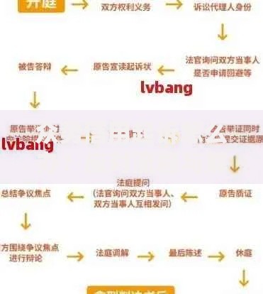 众势信用起诉怎么办？应对流程与解决方案全解析