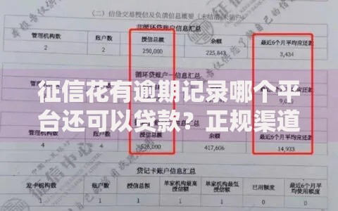 征信花有逾期记录哪个平台还可以贷款？正规渠道解析