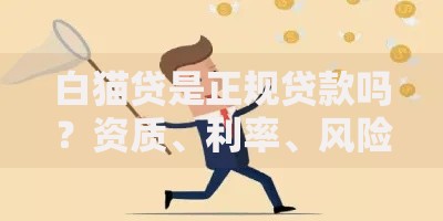 白猫贷是正规贷款吗？资质、利率、风险全方位解析