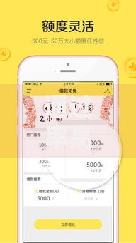 通过率高的借款平台有哪些？精选高通过率正规贷款平台推荐