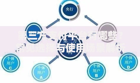 第三方支付平台有哪些？常见选择与使用场景解析