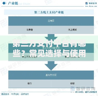第三方支付平台有哪些？常见选择与使用场景解析