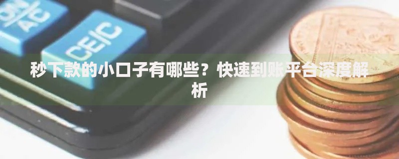秒下款的小口子有哪些？快速到账平台深度解析